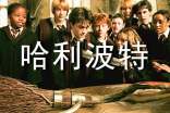 哈利波特读后感【精选】