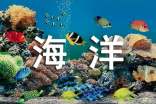 游海洋馆日记10篇