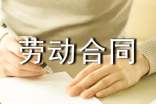 试用期劳动合同范本15篇