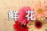鲜花小学作文15篇