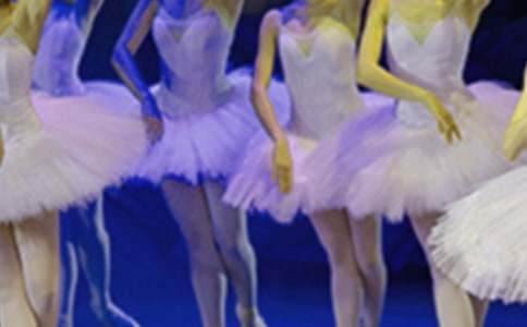 �����������ۺ��