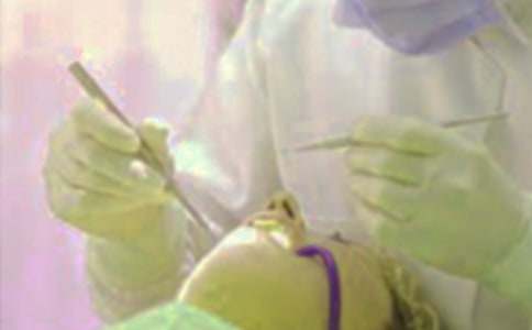 ������Сѧ����(����15ƪ)