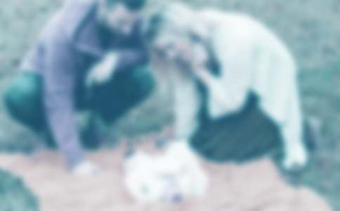 �ְ������������˵Сѧ���ģ�����12ƪ��