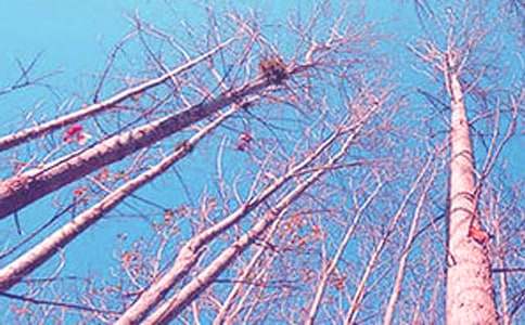 �����ѧ��˼15ƪ