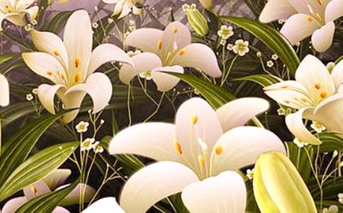 �����ٺϻ����и�