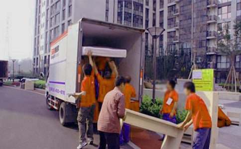 èͷӥ��Ҷ����