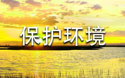 ���ڱ�����������ĸ�������