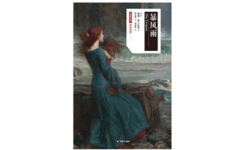 暴风雨写景作文