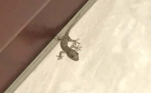 ��С�ڻ���β�͡���ѧ��˼���ģ���ѡ6ƪ��