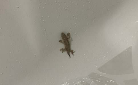 [��]��С�ڻ���β�͡���ѧ��˼