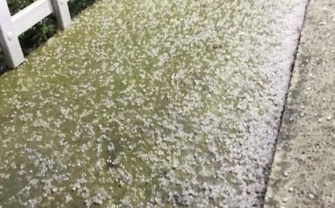 ����Сѧ���ģ�ͨ��39ƪ��