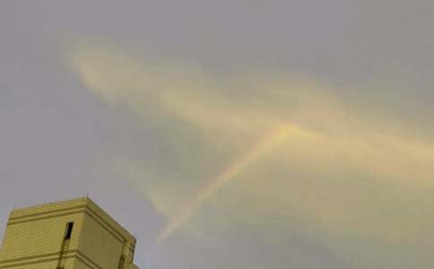 �ʺ�Сѧ����15ƪ