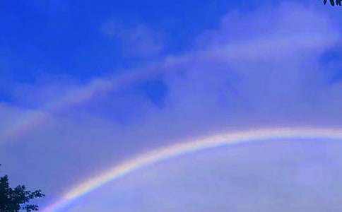 �������Ĳʺ硷��ѧ��˼