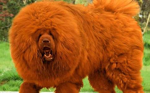 �����ᡷ�����