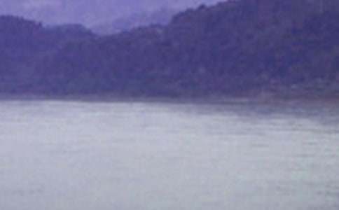 �������ߺš��ۺ��(ͨ��15ƪ)