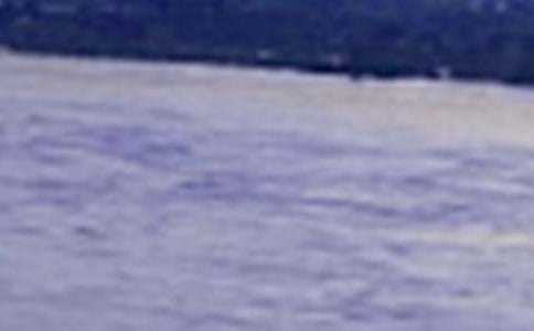 长江七号观后感合集15篇