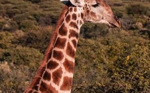 ����¹��С���ѧ��˼