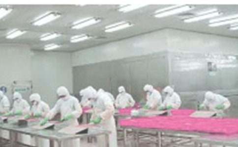 ������鹤���ܽ�(����15ƪ)