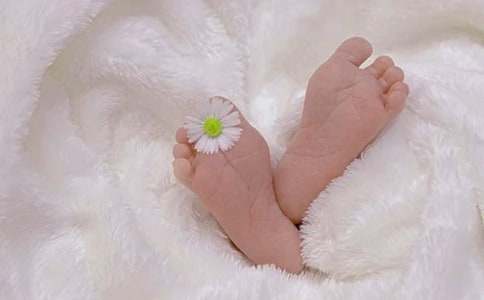 ���ӳ����졷�ۺ�У�ͨ��5ƪ��