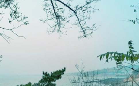 �����绯�꡷�ۺ��