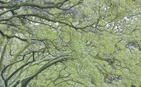 [��ѡ]����д��������8ƪ