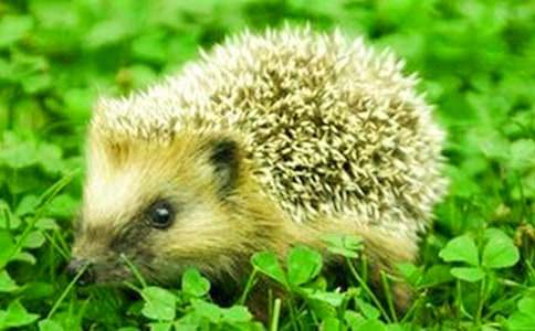 ���˵����14ƪ