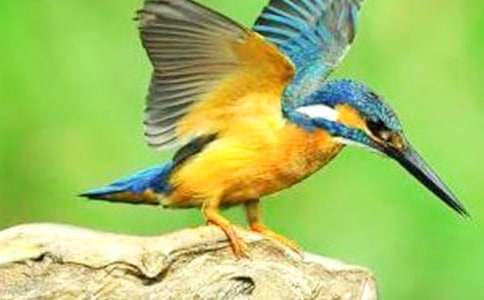 �����˽̰��ѧ��Ƽ���˼