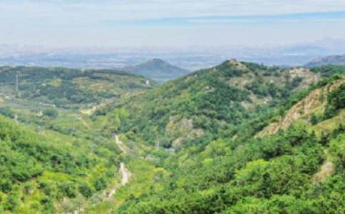 �����Ĵ�ɽСѧ����