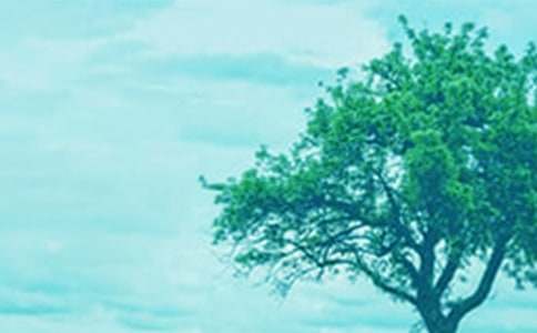 һ�ô��������