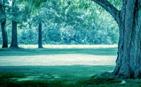 ���Ƽ��������Ĺ��½�ѧ��˼