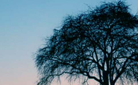 �����´���������_����_��������������