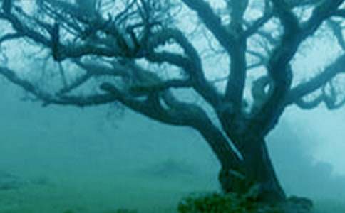 �����Ĺ��½�ѧ��˼ͨ��12ƪ