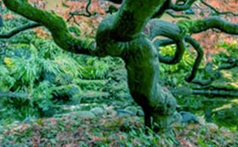 ���������ѧ��˼