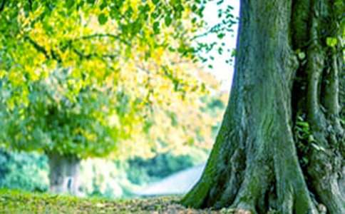 С�ݺʹ��������11ƪ