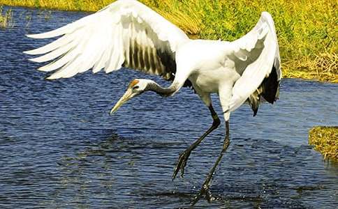 �������ĵ����ס���ѧ��˼