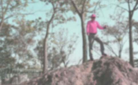 ��ɽ��������15ƪ