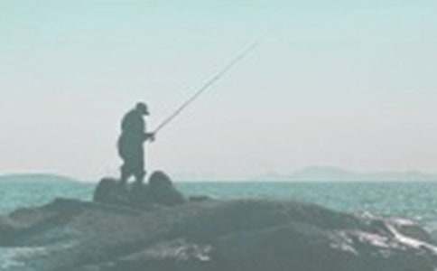 Сè����Сѧ���Ļ��15ƪ