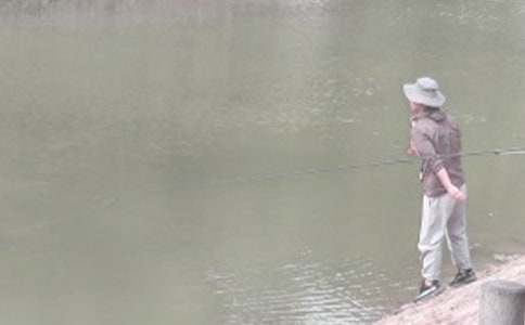 �������ʾ�����(����15ƪ)