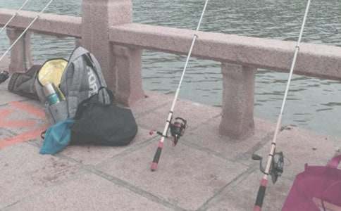 ������ռ�15ƪ