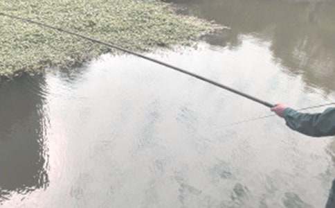 钓鱼的启示读后感汇编15篇