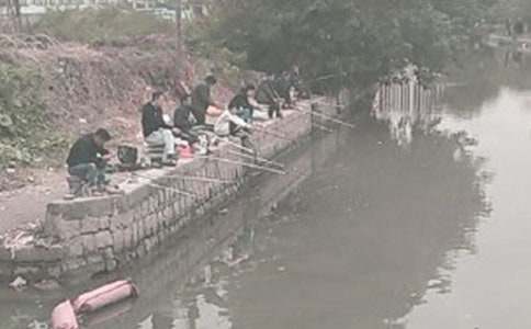 ���ȡ��������ʾ�����