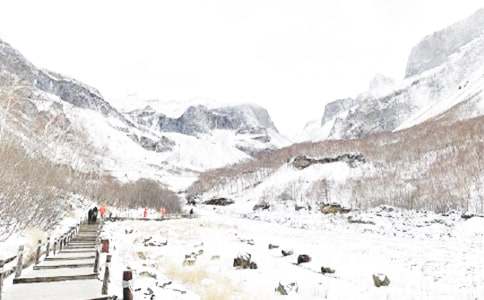 �������ȹ����ܽ�15ƪ