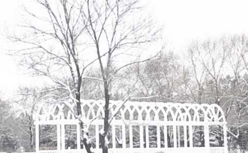 《饥饿的冬季》读后感3篇