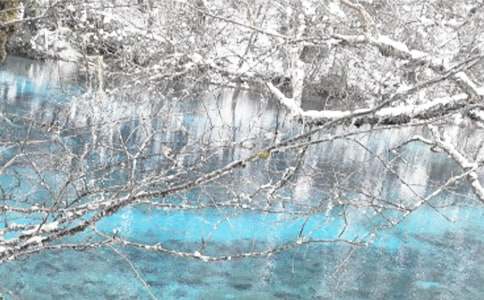 ������ȫ�����Ų鹤������