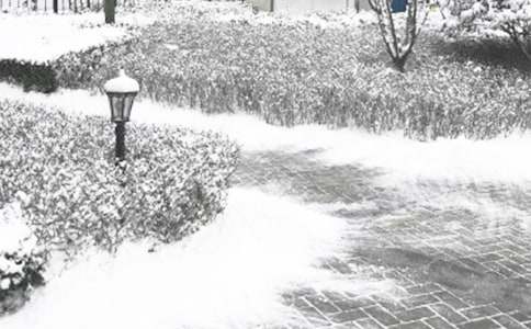 �����ĳ�������600��