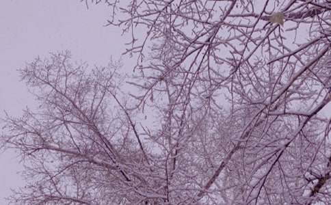 ���Ƽ��������ռ�4ƪ