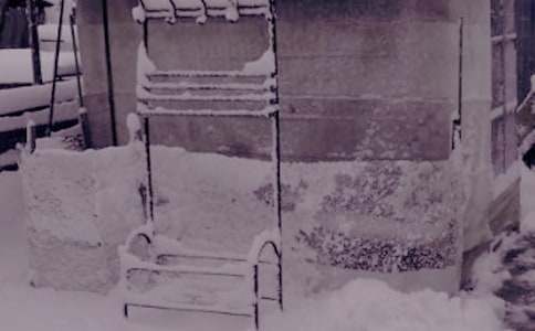 ����д�����ıر���15ƪ��