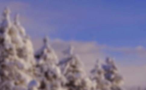 �����ϵĶ��졷�����(15ƪ)