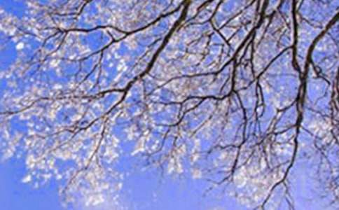 ����ѡ�����ж��������5ƪ