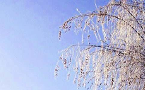 ���ر�������д�����Ľ���9ƪ